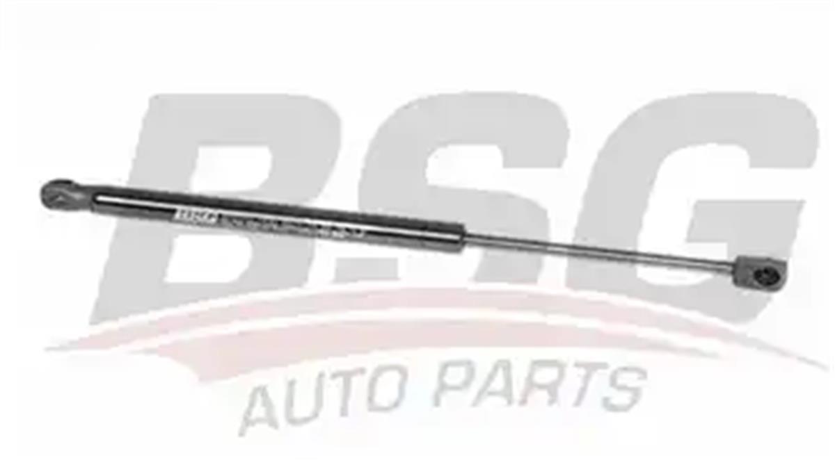 Bagaj Amortisörü Duster / Duster Panelvan/Van Bm 10-