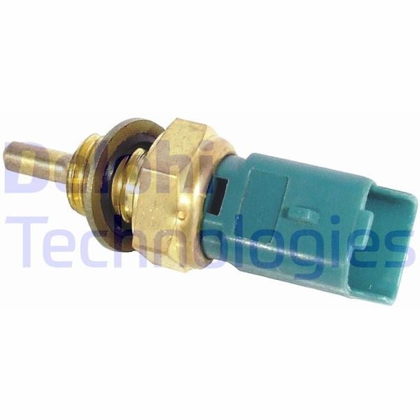 Citroen Berlingo Partner C2 C3 C4 C5 Jumpy Nemo Xsara Scudo Peugeot 206 307... DELPHI