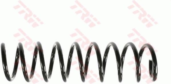 BMW 5 Serisi E39 Arka Süspansiyon Yayı TRW