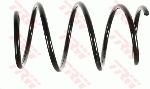 BMW 3 Serisi E46 Ön Aks Süspansiyon Yayı TRW