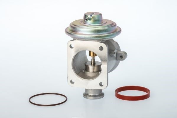 BMW EGR Valfi Pnömatik BORGWARNER
