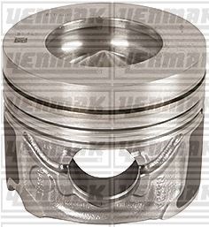 BMW 118D 218D 318D 418D B47D20 Motor Piston Segmanı YENMAK
