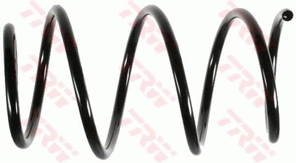 BMW 3 E46 Ön Süspansiyon Yayı TRW