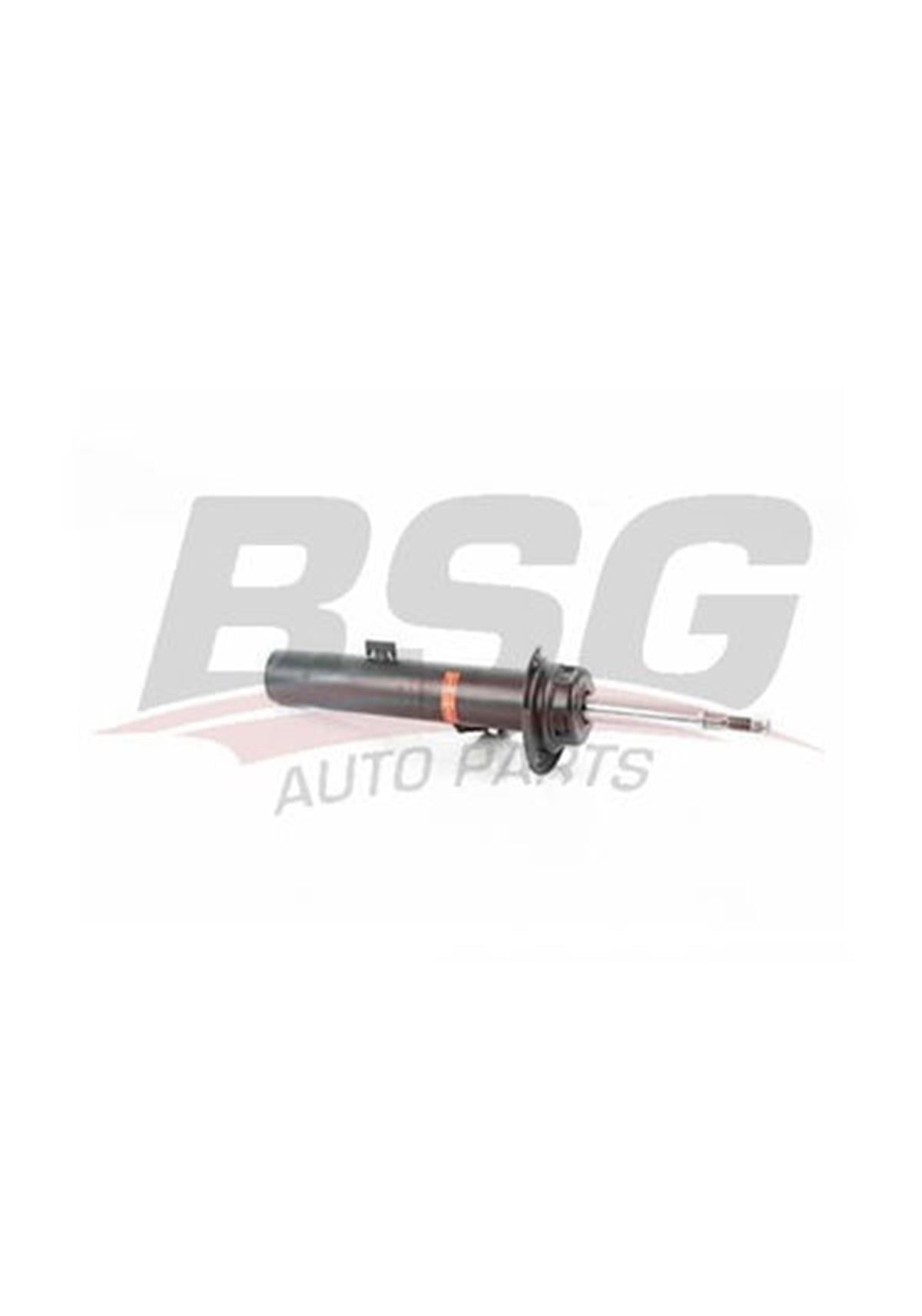 Bmw E81 E87 Ön Amortisör Bsg 2005-2011 31316768915