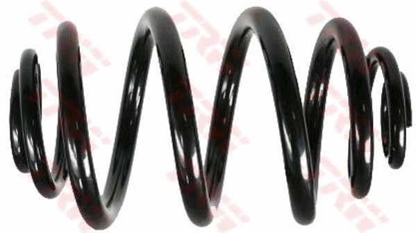 BMW 3 E46 Arka Aks Süspansiyon Yayı TRW