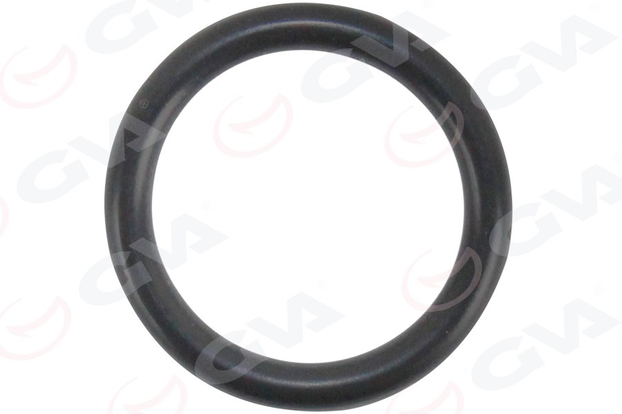 BMW Motor Turbo Oring 10'lu Takım GVA