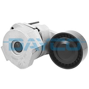 Boxer III Jumper III Ducato III Transit Alternatör Gergi Rulmanı Kütüklü... DAYCO