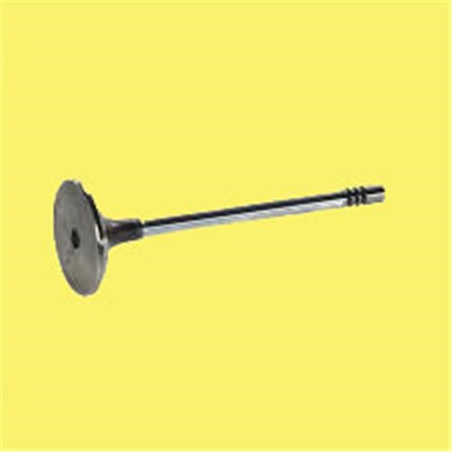Peugeot Boxer 2.5D DJ5 TED Motor 8V Emme Egzoz Subap GUNES