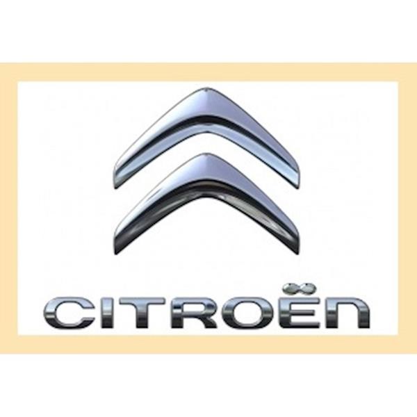 Citroen C-Elysee Yazı ve Arma PSA