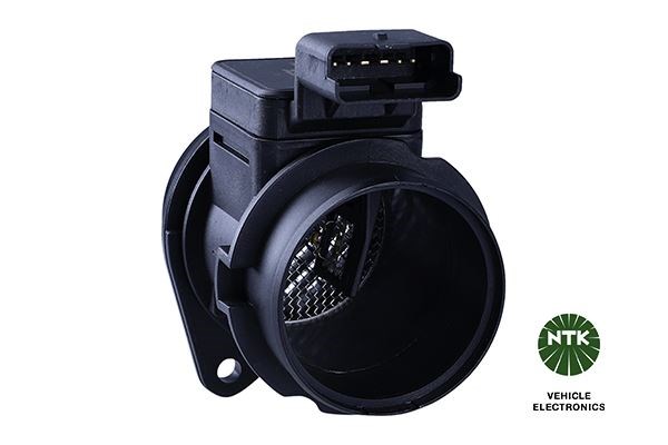 Citroen C2 C3 C3 II C3 Pluriel Xsara II Peugeot 206 307 Ford Fiesta Fusion... NGK