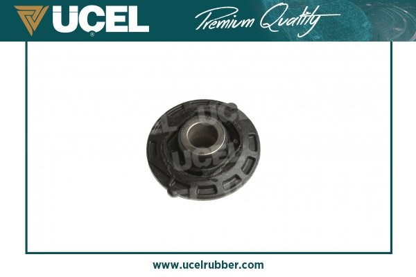 Citroen C2 Arka Salıncak Burcu UCEL