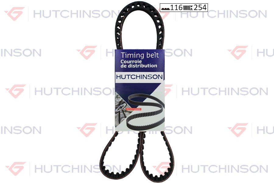 Citroen C4 C5 Jumpy Triger Kayışı HUTCHINSON