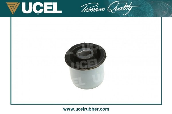Citroen C4 Torsiyon Burcu Arka UCEL