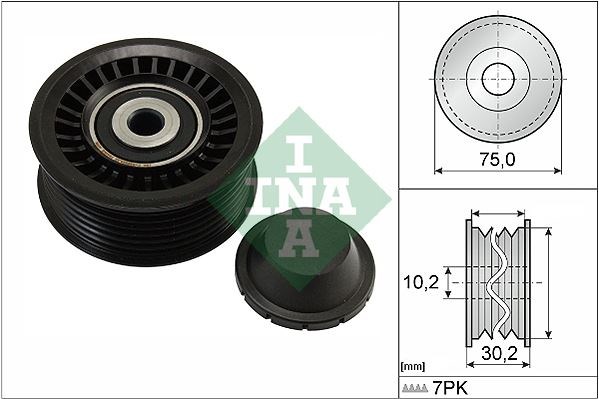 Renault Captur Alternatör Gergi Rulmanı INA