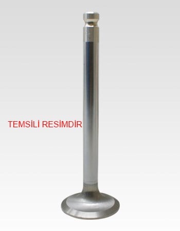 Mitsubishi Carisma 1.6 1.8 16V Emme Egzoz Subap GUNES