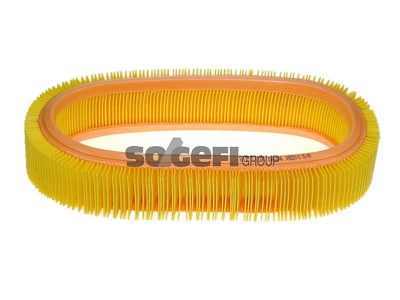 Renault Clio I Megane I Scenic I R9 R11 R19 R21 Hava Filtresi PURFLUX