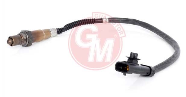 Renault Clio II-III Kangoo Laguna II Megane II Scenic Trafic II Twingo... GUA