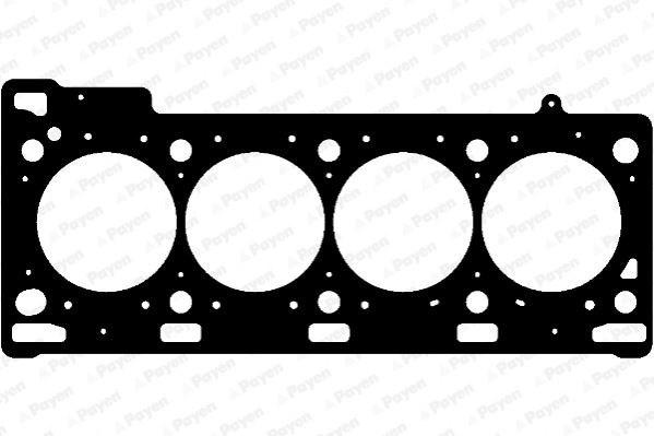 Renault Clio II Megane I Megane II Logan I Logan II Scenic I Scenic II 1.8... PAYEN