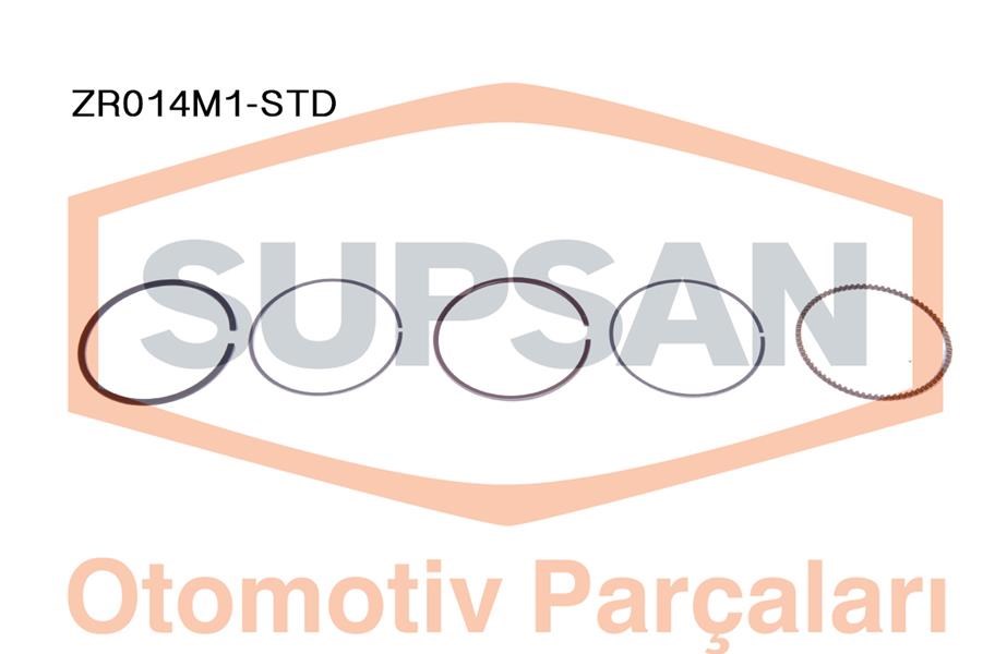 Renault Clio 2 Segman 1.6 RN/RT SUPSAN