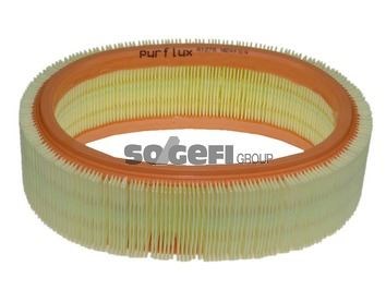 Renault Clio II Hava Filtresi PURFLUX