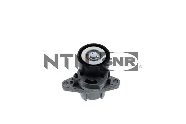 Renault Clio II Alternatör Gergi Rulmanı Kütüklü SNR