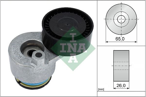 Renault Clio II Megane II Kangoo Alternatör Gergi Rulmanı Kütüklü INA
