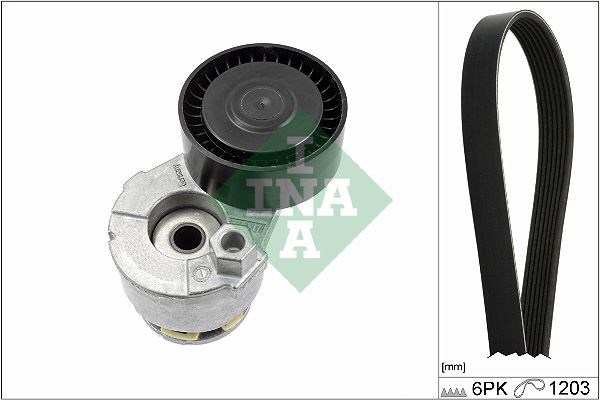 Renault Clio II Alternatör Gergi Kiti Kütükli INA