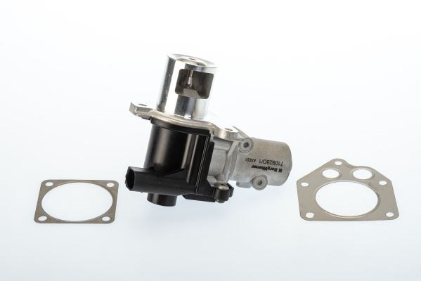 Renault Clio II III IV Megane II III Thalia I II Kangoo II Fluence Dacia... BORGWARNER