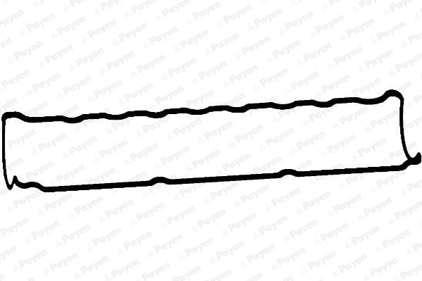 Renault Clio II III IV Clio Symbol I Symbol II Megane I II Captur Duster... PAYEN