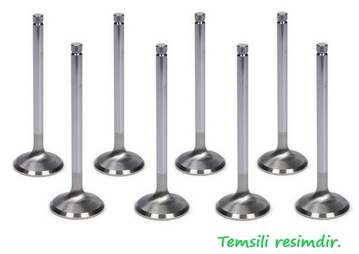 Renault Clio II III IV Megane II III IV Symbol II III Subap Takımı TETIK