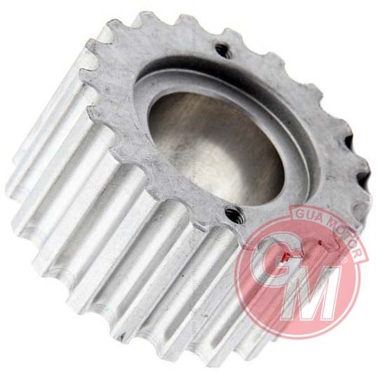 Renault Clio 2-3 Laguna 2 Thalia Twingo Kangoo Megane 2-3 Logan 2 Duster... GUA