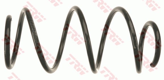 Renault Clio III Ön Aks Süspansiyon Yayı TRW