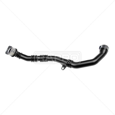 Renault Clio 4 Captur 1 Dacia Dokker Lodgy Duster Sandero 2 Logan 2 MCV... RAPRO