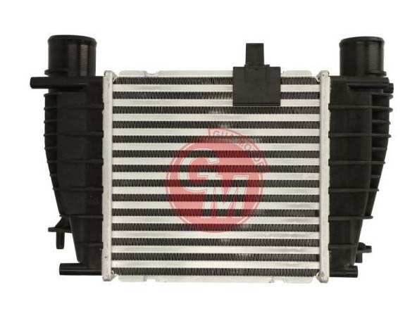 Renault Clio V Captur Duster Nissan Mitsubishi Turbo Radyatörü Intercooler GUA