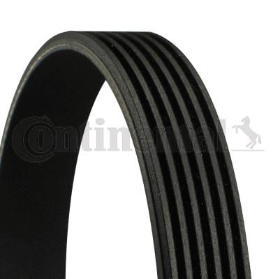 Renault Clio Kangoo Peugeot 307 Citroen C5 C8 Kanallı Kayış CONTITECH
