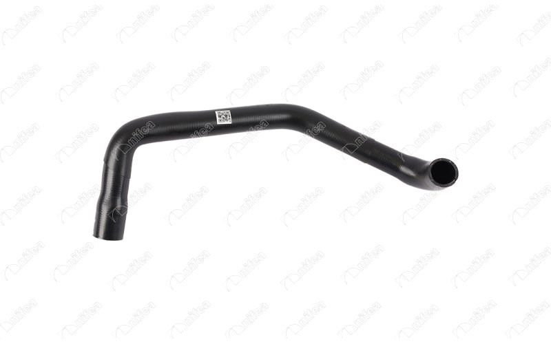 Ford Connect Radyatör Alt Hortumu 1.8 TDCi NIFEA