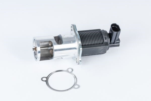 Dacia EGR Valfi Elektrikli BORGWARNER