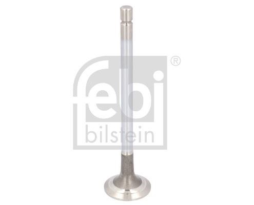 Daf Egzoz Subabı FEBI