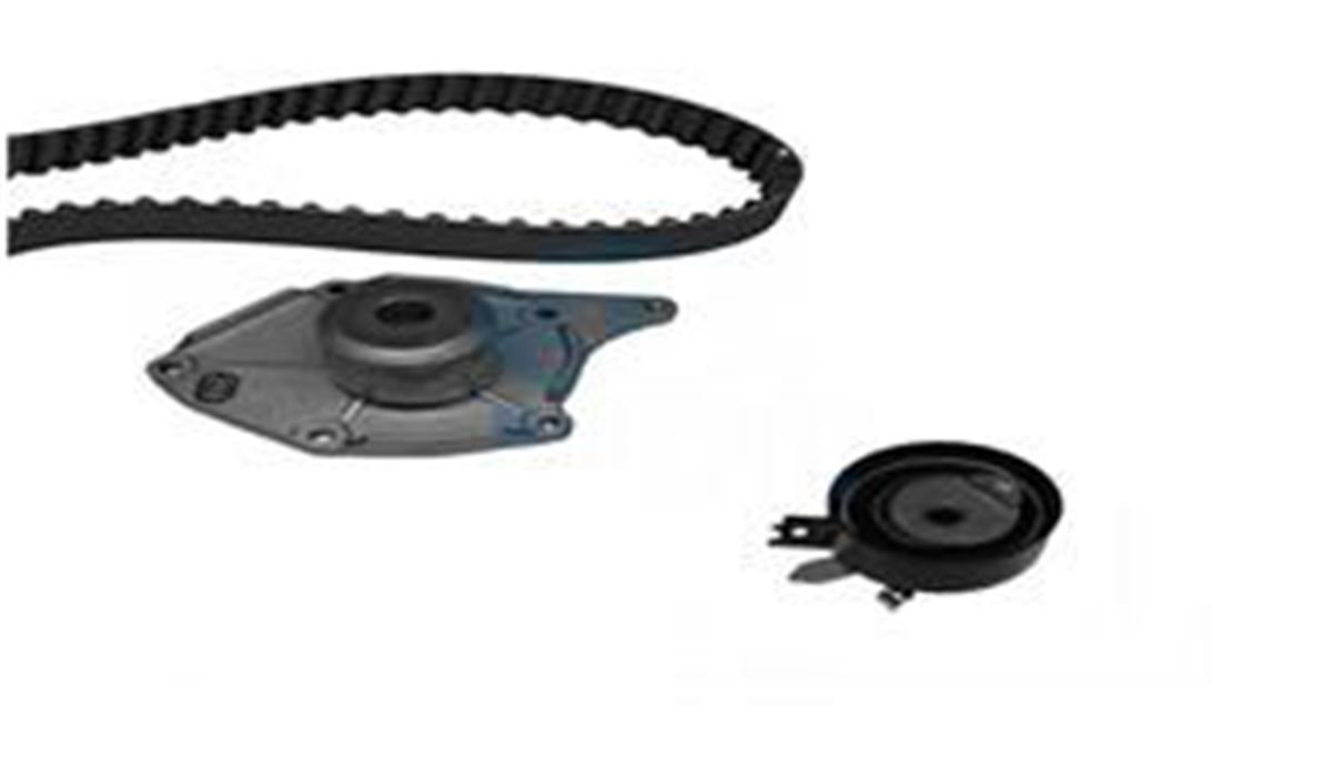 Devirdaimli Eksantrik Gergi Kiti 123X270 Clio-Kango-Megane 2 1.5 Dcı 01