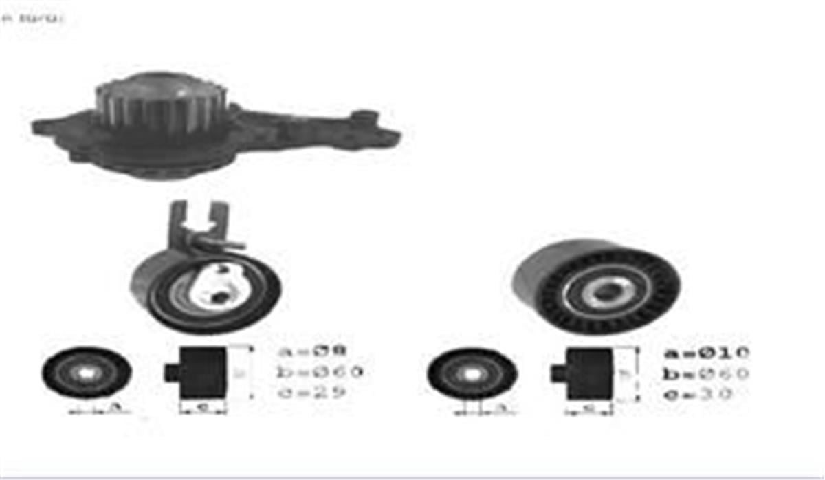 Devirdaimli Eksantrik Gergi Kiti 137X254 Peugeot 207-307-308-Part-C3-C4-C5-Berl-