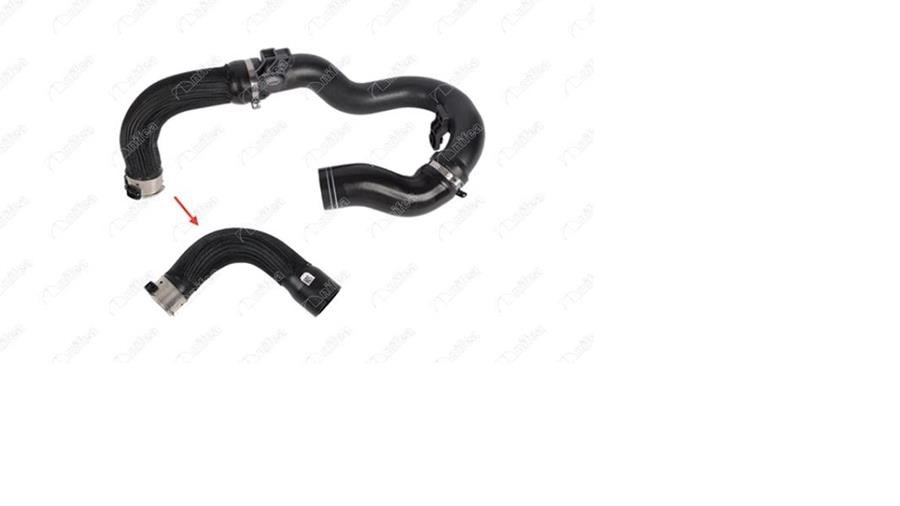 Fiat Doblo 2016-2023 Doblo Cargo 2016-2023 1.3D MJET Turbo Hortumu NIFEA