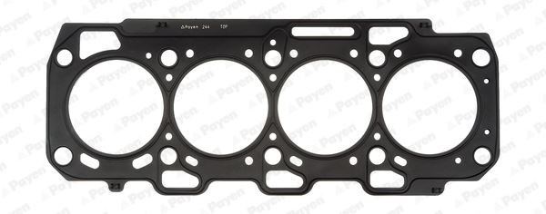 Fiat Doblo Linea Bravo Egea Alfa Romeo Giulietta Mito 1.6D MTJ Silindir... PAYEN