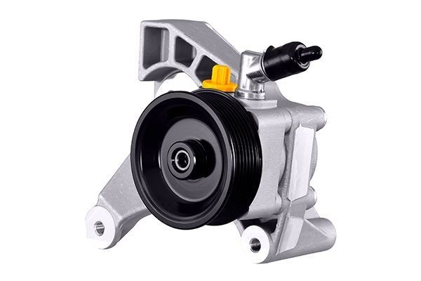 Fiat Ducato 3 Direksiyon Pompası HELLA