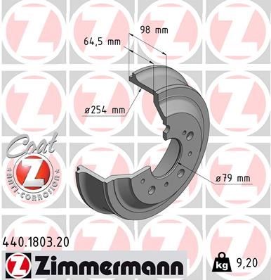 Fiat Ducato Arka Fren Kampanası 254mm ZIMMERMANN