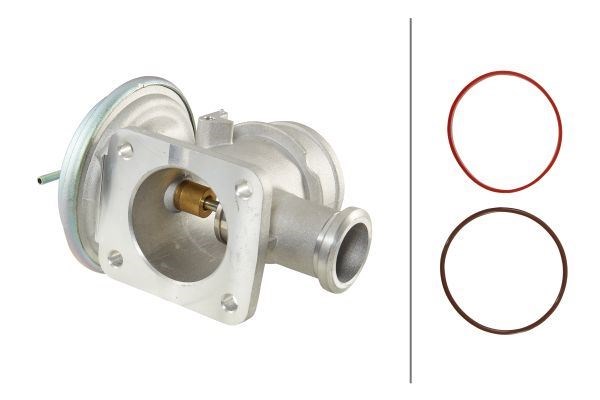 BMW E38 E39 E46 E65 E53 Freelander I Range Rover 3 Vogue EGR Valfi HELLA