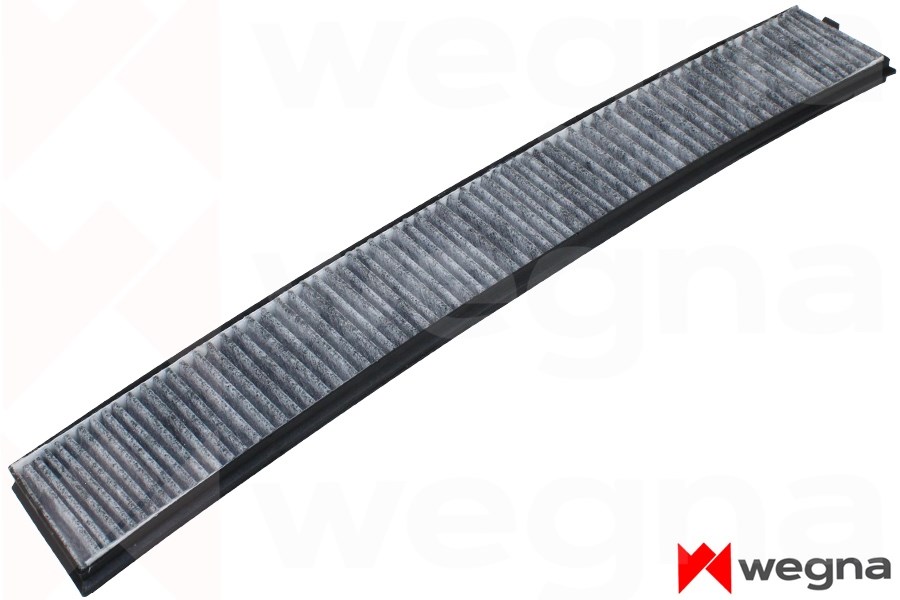 BMW E46 E83 Karbonlu Polen Filtresi WEGNA
