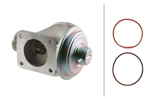 BMW M57N E46 E60 E61 E65 E53 EGR Valfi HELLA