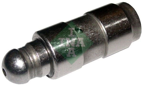 BMW E81 E82 E87 E88 E90 E91 E92 E93 E60 E61 F10 F11 E63 E64 E83 E84 F25 E85... INA