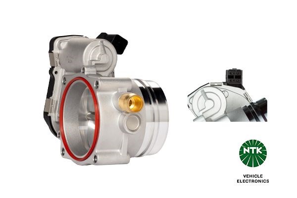 BMW N54 Gaz Kelebeği NGK