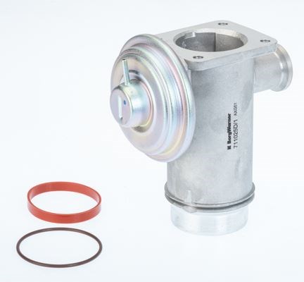 BMW M47N2 M57N2 E87 E90 E91 E92 E93 E60 E61 E65 E66 E83 E70 E71 EGR Valfi BORGWARNER